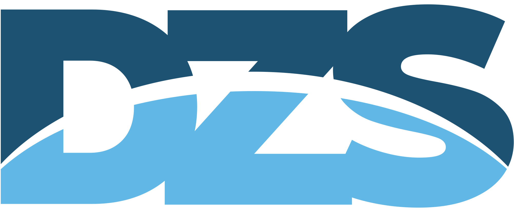 Logo DZS GmbH