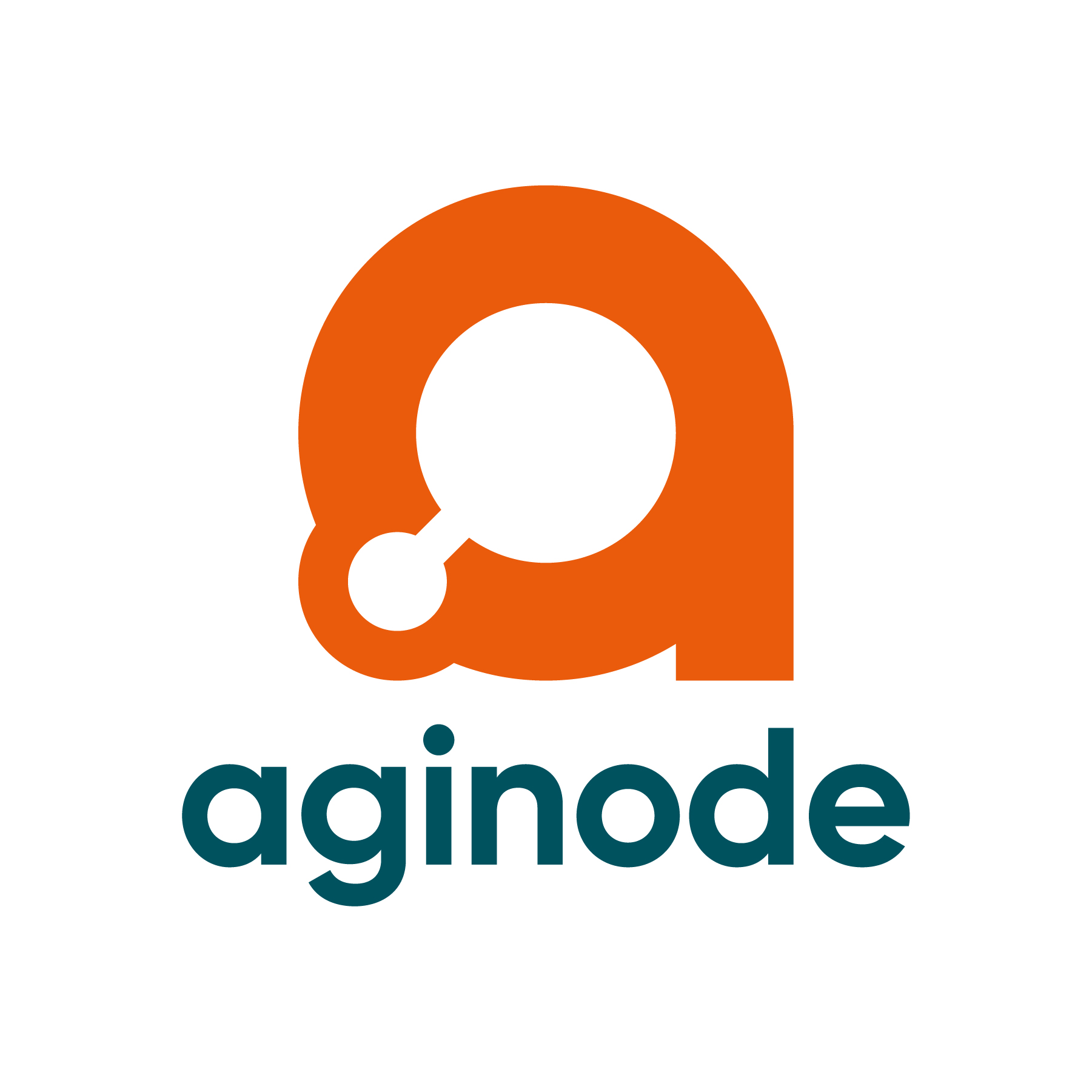 Logo Aginode Germany GmbH