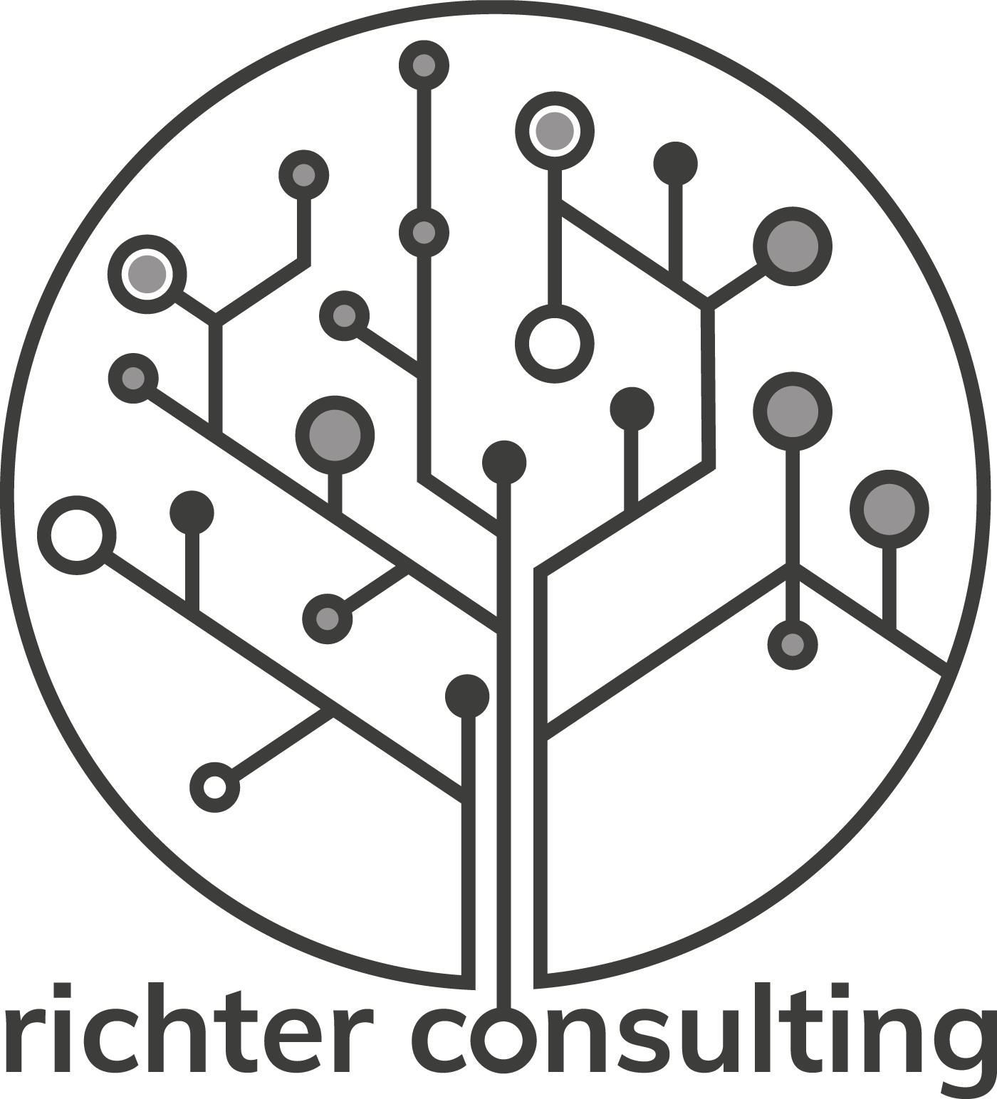 Logo richter consulting gmbh