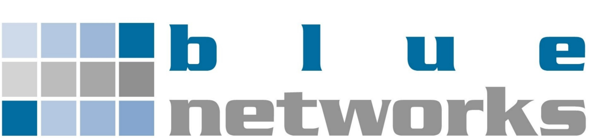Logo blue networks GmbH